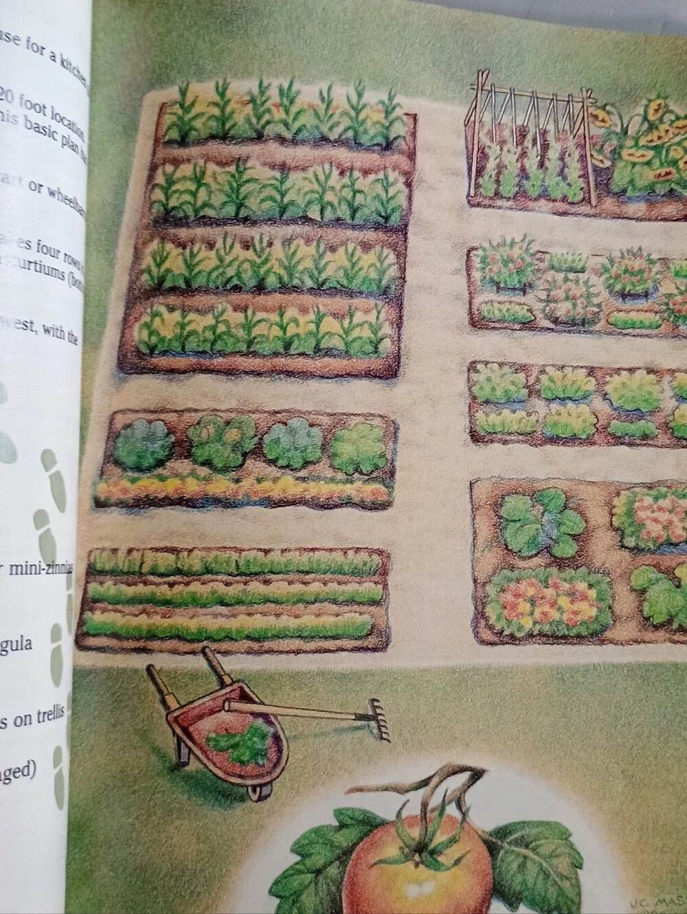 Gardening for Dummies Book (1996) by Michael MacCaskey, Paperback, Pre-owned
